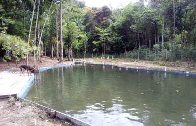 Imagem: A fazenda possui 160000-0m² de Área e está localizado em