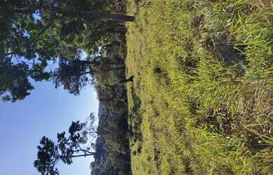 Imagem 12: Fazenda de 43 há em Rio Manso MG