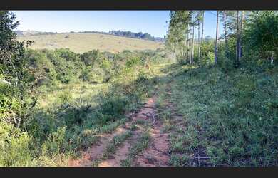 Imagem 9: Fazenda de 71 há em São Tiago MG