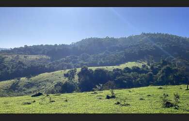 Imagem: A fazenda e está localizado em São Tiago, MG à venda por