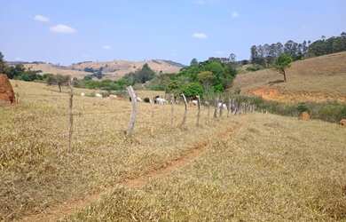 Imagem 6: Fazenda de 50 há em Crucilândia MG