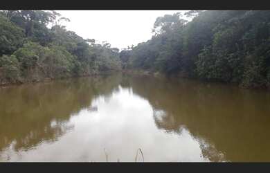 Imagem 2: Excelente fazenda de café