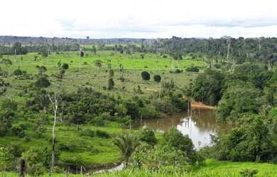 Imagem: A fazenda e está localizado em Cujubim, RO à venda por R$700.000