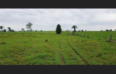 Imagem: A fazenda possui 30976000-0m² de Área e está localizado em