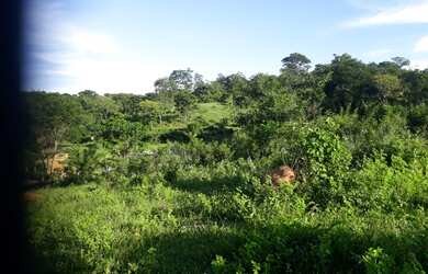 Imagem 9: Fazenda de 74 há em Cordisburgo MG