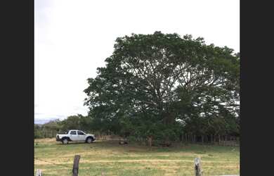 Imagem: A fazenda está localizado em Morro do Chapéu, BA à venda