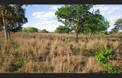 Imagem: A fazenda está localizado em Santa Maria do Tocantins, TO à