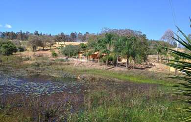 Imagem 11: Fazenda de 18 há Cláudio MG