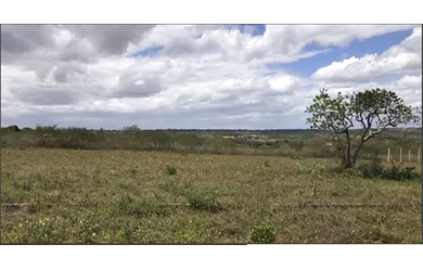 Imagem: Vendo Terreno no Loteamento Eucalipto - Serrinha Ba