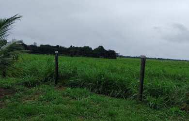 Imagem 5: R$ 2 milhões de reais 9 lotes e meio na alça viaria