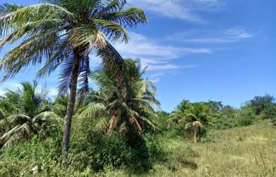 Imagem: O terreno e está localizado em Macaíba, RN à venda por R$180.000