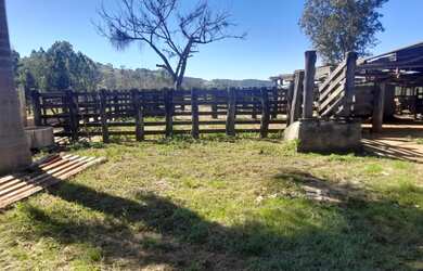 Imagem 12: Fazenda de 21 há em Itapecerica MG