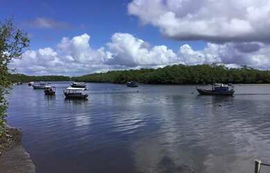 Imagem 12: Casa venda na Ilha do Contrato Ilha dos Tubarões Península de Marau