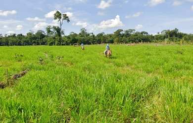 Imagem 4: Fazenda em União Bandeirantes