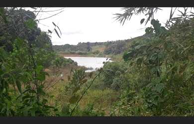 Imagem 12: Excelente fazenda de café