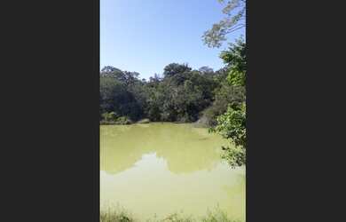 Imagem 2: Fazenda de 151 há em Cordisburgo MG