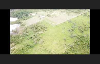 Imagem 3: R$600 mil reais fazenda de 34 Alqueires em Paragominas Pará