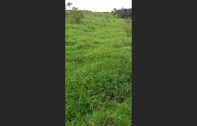 Imagem 6: Fazenda de 140 há em Sã Tiago MG