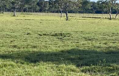Imagem 4: Fazenda em Minas Gerais. 