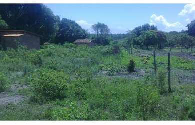Imagem: A fazenda possui 2 Dormitórios, 1 Suíte, 1 Banheiro e está