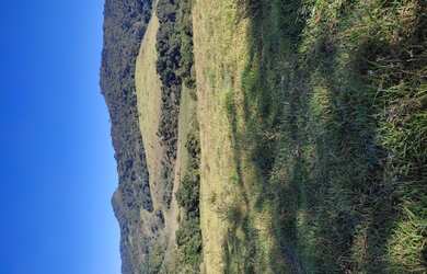Imagem 10: Fazenda de 255 há em Bom Sucesso MG