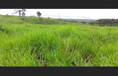 Imagem: A fazenda possui 14520000-0m² de Área e está localizado em