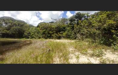 Imagem 11: Excelente fazenda para investimento