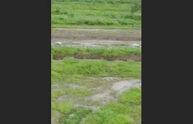 Imagem: A fazenda possui 30 Dormitórios, 5 Suítes, 30 Banheiros, Acomodam