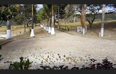 Imagem 9: Fazenda de 86 há em Itatiaiuçu MG