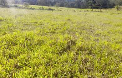 Imagem 14: Fazenda de 21 há em Itapecerica MG