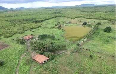Imagem 8: FAZENDA EM GUAIUBA 97 HECTARES