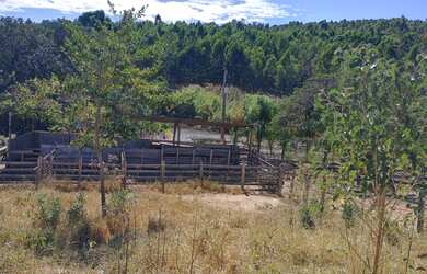 Imagem 12: Fazenda de 18 há Cláudio MG