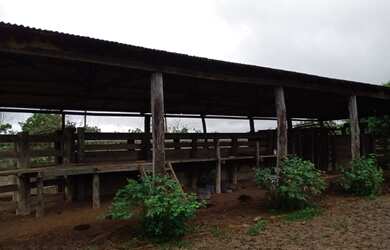 Imagem: A fazenda está localizado em Paranatinga, MT à venda por R$22.000.000