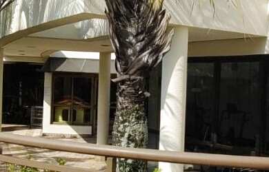 Imagem 3: Apartamento à venda em Bosque da Saúde com 134 m², 3 quartos, 3 suítes,...