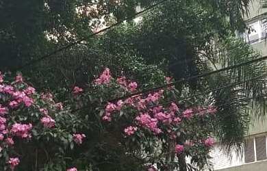 Imagem 10: Apartamento no Edificio MAISON DU SOLEIL