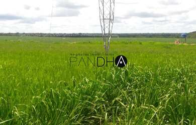 Imagem 6: Fazenda de AGRICULTURA LAVOURA e PECUÁRIA, 4.007 hectares, duas fazendas...