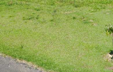 Imagem: O terreno possui 1.039m² de Área e está localizado em Fazenda