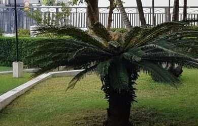 Imagem 16: Impecável apartamento de 3 quartos na Cidade Monções, São Paulo-SP: 150m², 1 suíte, sala a