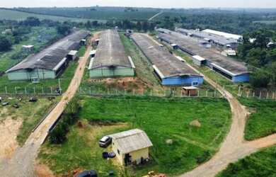 Imagem: A fazenda está localizado em Cesário Lange, SP à venda por