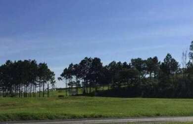 Imagem: O terreno possui 10.900m² de Área e está localizado em Zona