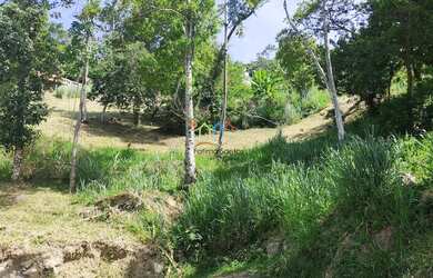 Imagem 11: Terreno a venda em Ilhabela