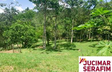 Imagem 7: SÍTIO A VENDA EM PORTO BELO