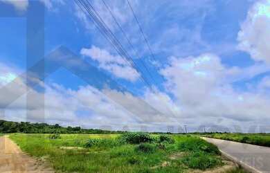 Imagem: A fazenda possui 80m² de Área e está localizado em Centro