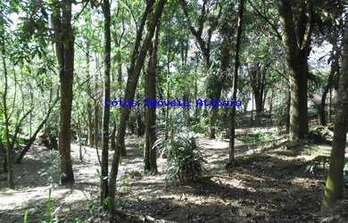 Imagem 3: CHÁCARA RESIDENCIAL em ATIBAIA - SP, JARDIM ESTANCIA BRASIL