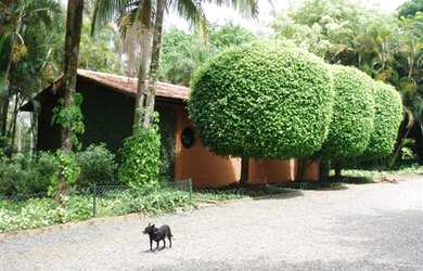 Imagem 11: FAZENDA A VENDA EM INDAIATUBA, FAZENDAS A VENDA EM INDAIATUBA