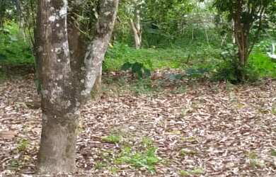 Imagem 7: TERRENO RESIDENCIAL em BARRA DO PIRAÍ - RJ, California