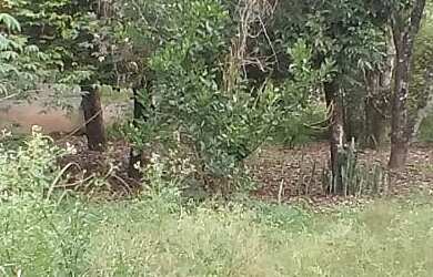 Imagem 9: TERRENO RESIDENCIAL em BARRA DO PIRAÍ - RJ, California