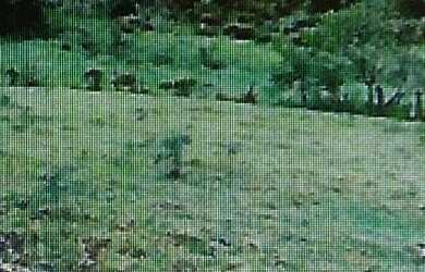 Imagem 2: FAZENDA RURAL em Barra do Piraí - RJ, SÃO JOSÉ DO TURVO