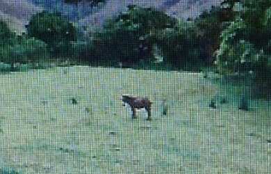 Imagem: A fazenda possui 1 Dormitório, 1 Banheiro, 820.000m² de Área