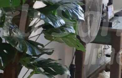 Imagem 3: CASA EM ILHABELA NO BAIRRO DO PEREQUÊ, AGENDE SUA VISITA